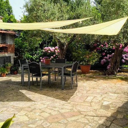Апартаменты A Casa Di Leda Сарцана Экстерьер фото